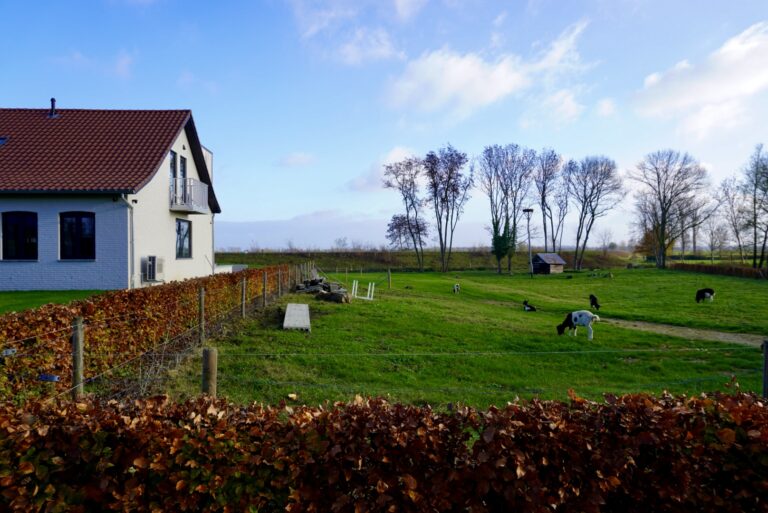 De meerheuvel Rotem